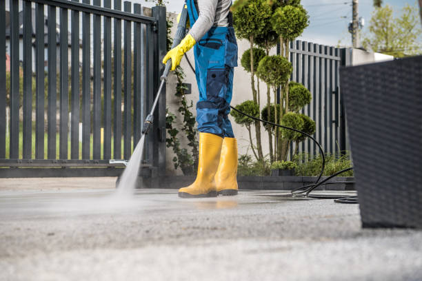 Best Roof Pressure Washing  in Elliston, VA