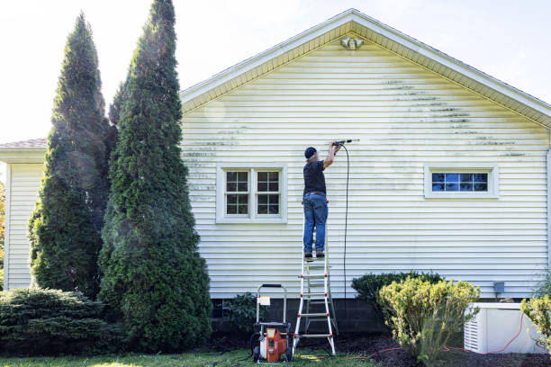 Professional Pressure Washing in Elliston, VA